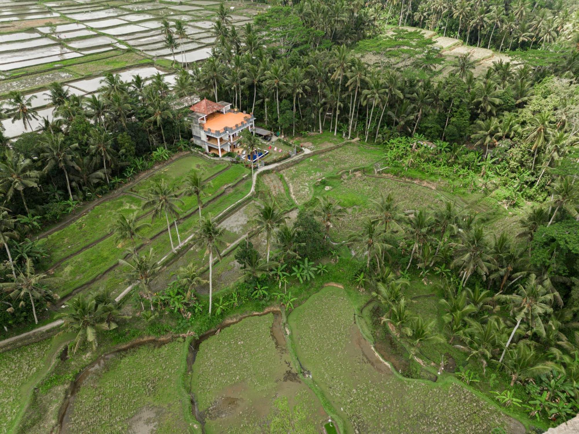 Adhidrawa Ubud Exterior foto